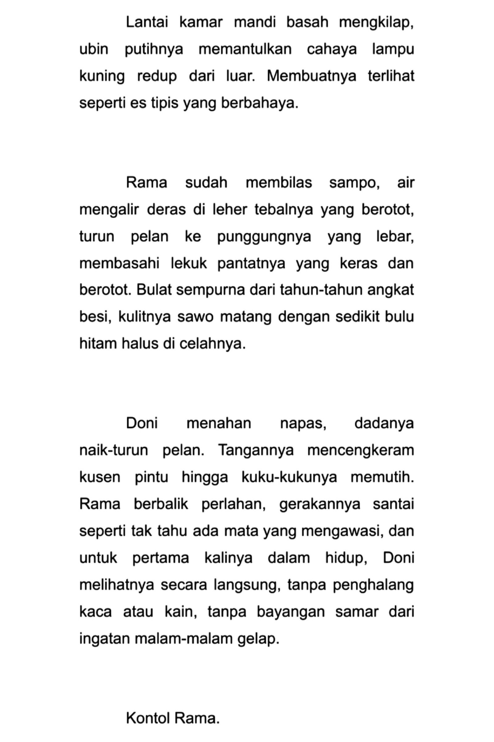 Rudal Jumbo Punya Papa - Gambar 3